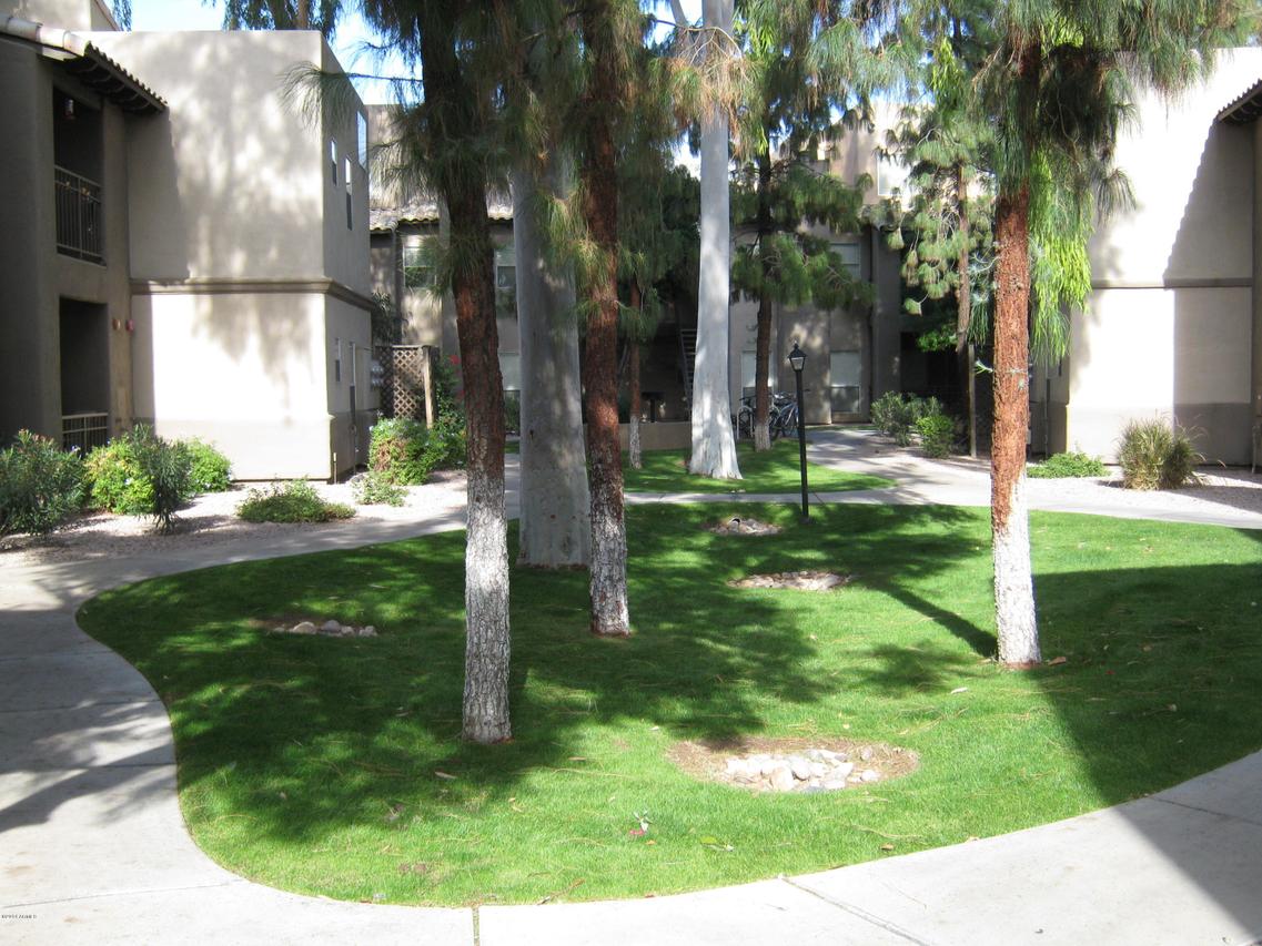 14145 N 92nd St. #2010, Scottsdale, AZ 85260