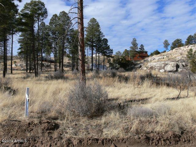 2984 Buckskin Canyon Rd. #12D, Heber, AZ 85928