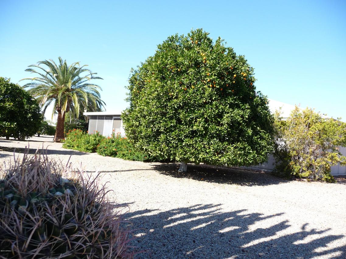 9317 W Wild Horse Ct., Sun City, AZ 85373