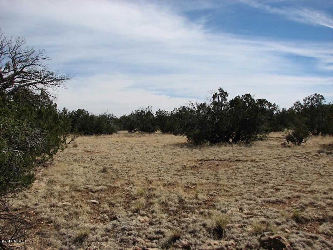 Sec.31 Chevelon Acres #31, Heber, AZ 85928