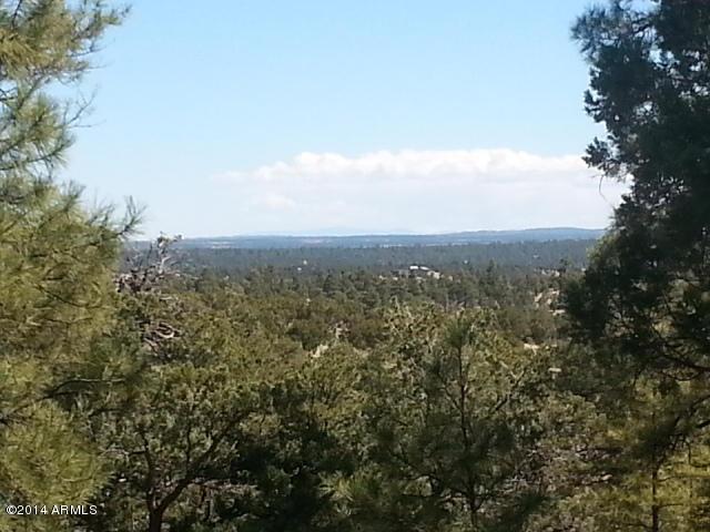 3417 Ponderosa Loop #129, Heber, AZ 85928