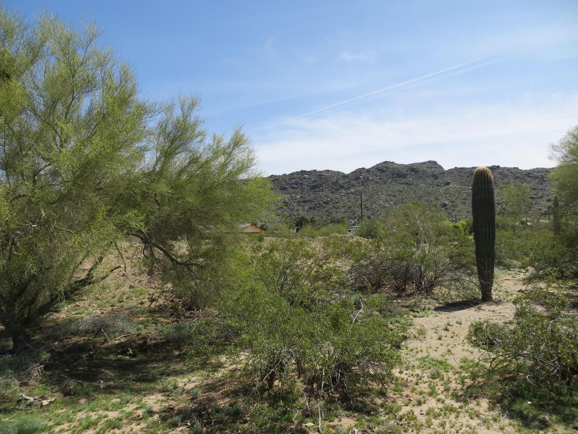 2435 E South Mountain Ave. #11, Phoenix, AZ 85042