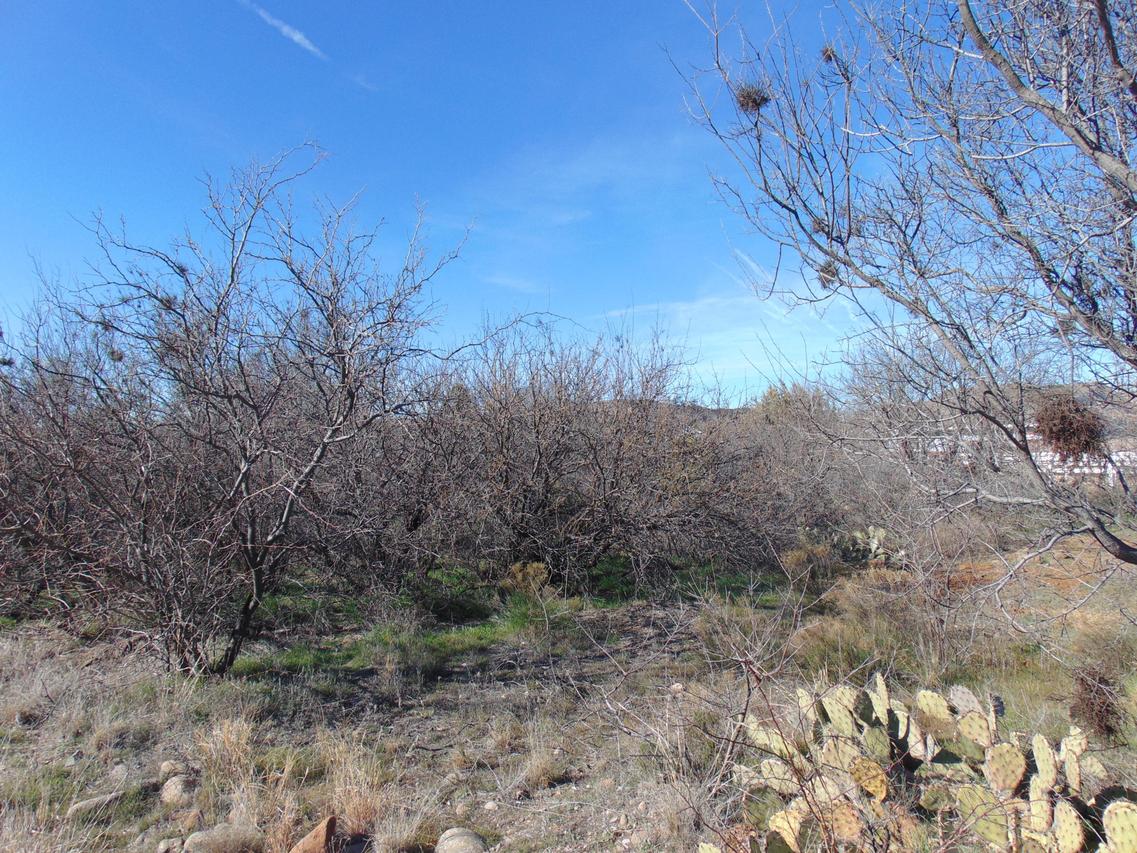 4040 E Creek View, Camp Verde, AZ 86322