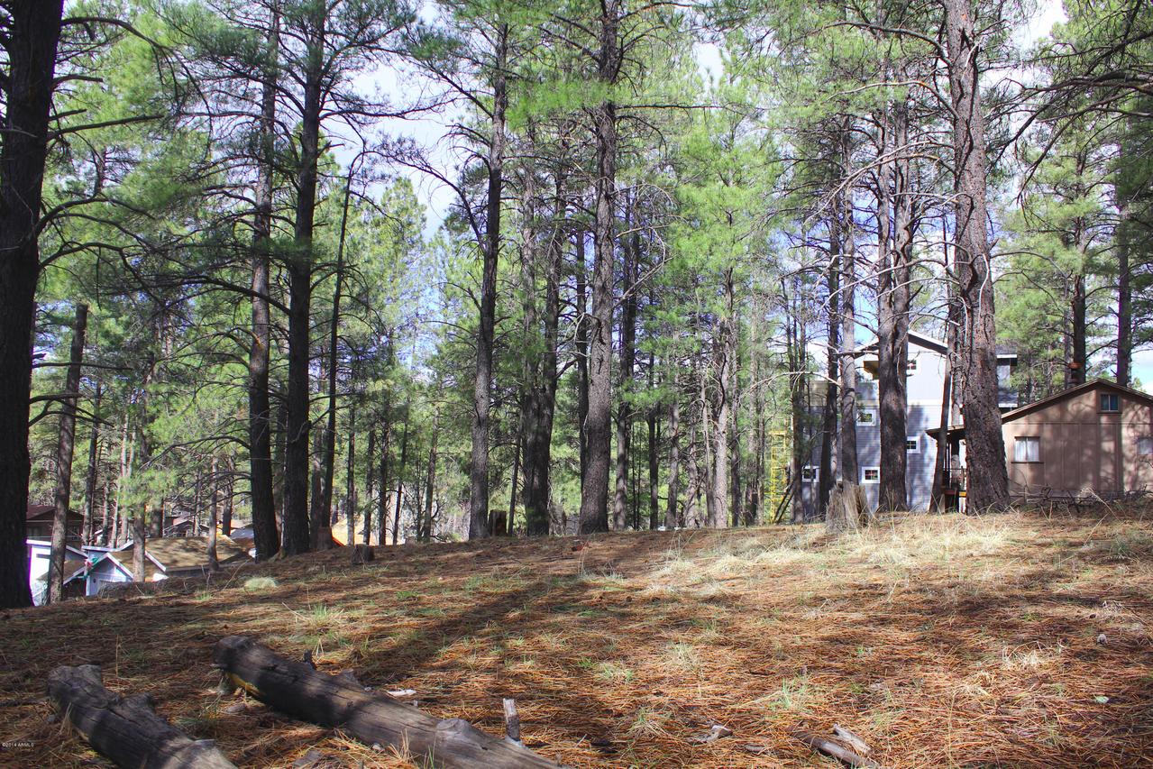 737 Pawnee #180, Flagstaff, AZ 86005