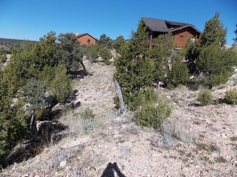 3360 Windy Lane #59, Heber, AZ 85928