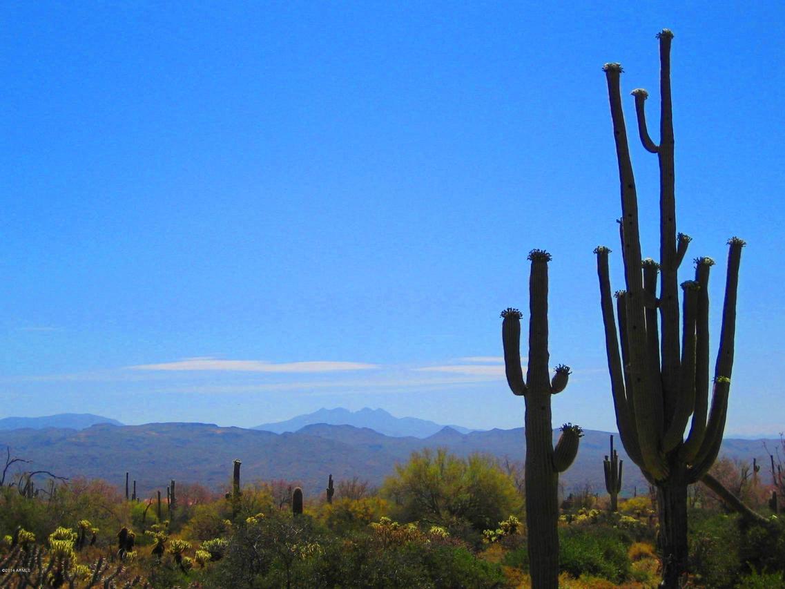 31300 N 173rd Pl. #-, Rio Verde, AZ 85263