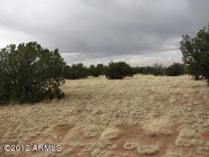 Lot 33 Chevelon Retreat #33, Heber, AZ 85928