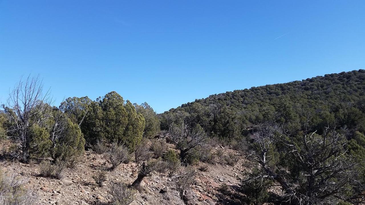 Lot 9 Nelson Road, Seligman, AZ 86337
