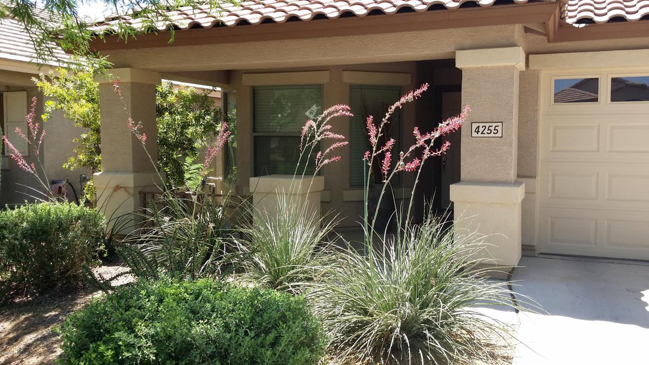 4255 E Rock Dr., San Tan Valley, AZ 85143