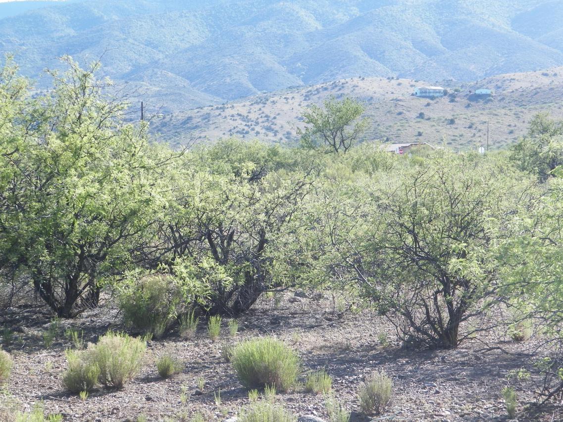 661 Pine Ridge Rd., Clarkdale, AZ 86324