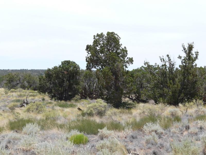 CCR #3 Lot 271 #271, Heber, AZ 85928
