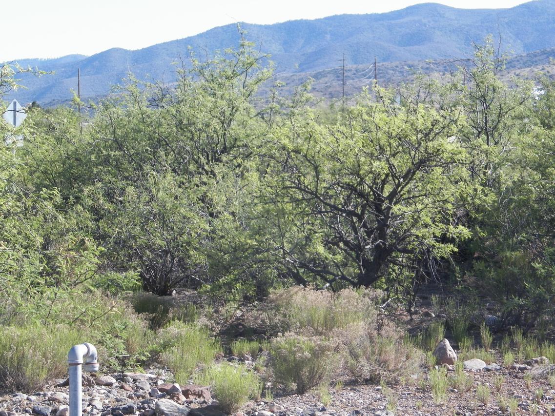128 Stonecrest Dr., Clarkdale, AZ 86324