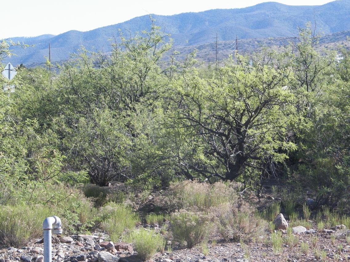1880 W Buena Vista Dr., Clarkdale, AZ 86324