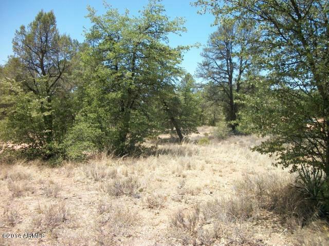405 S Forest Ridge Ct. #18, Payson, AZ 85541