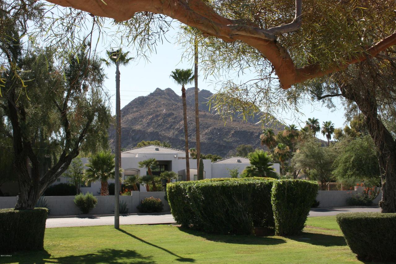 4800 N 68th St. #308, Scottsdale, AZ 85251