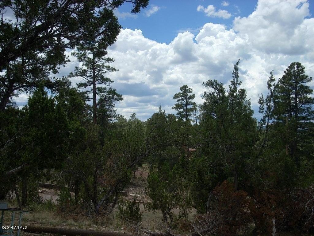 1885 Little Doe Trail #32, Heber, AZ 85928