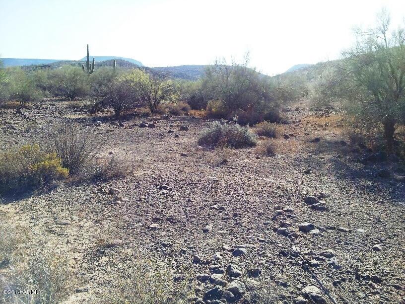 444xx N 20th St. #1, New River, AZ 85087