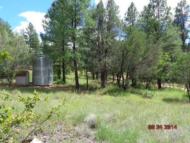 120 N Tonto Creek Dr. #4&5, Payson, AZ 85541