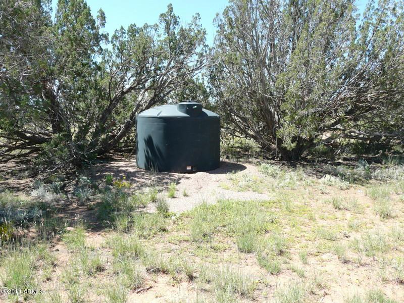 1956 Hutch Road #40, Heber, AZ 85928