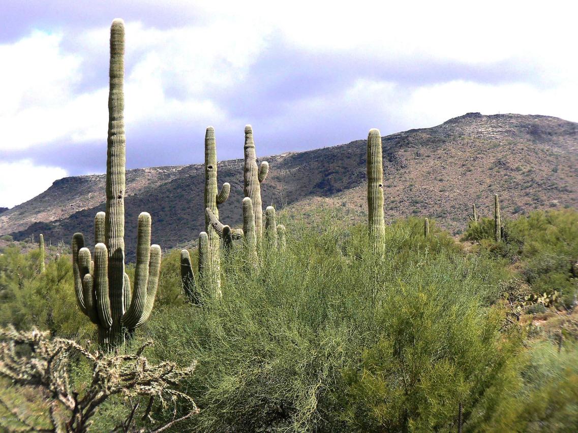 49 N 1st St. #-, New River, AZ 85087