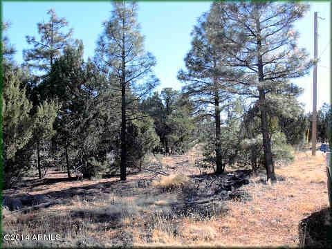 2549 Burton Ln. #001F, Aripine, AZ