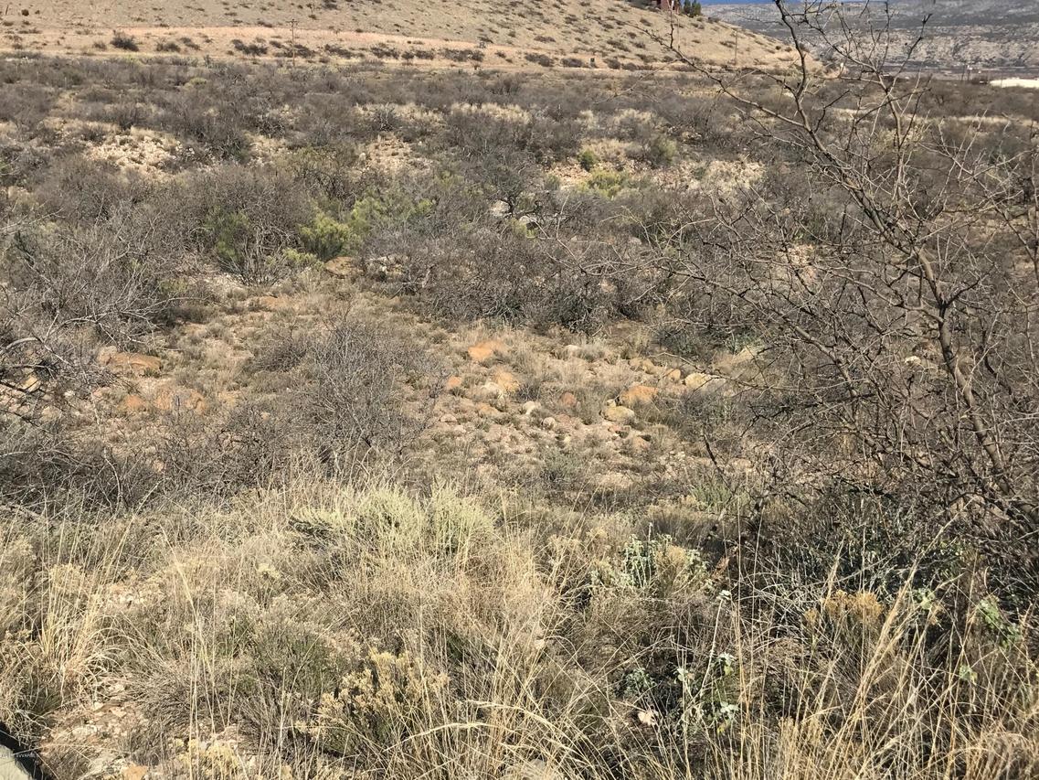 00 Wild Horse, Clarkdale, AZ 86324