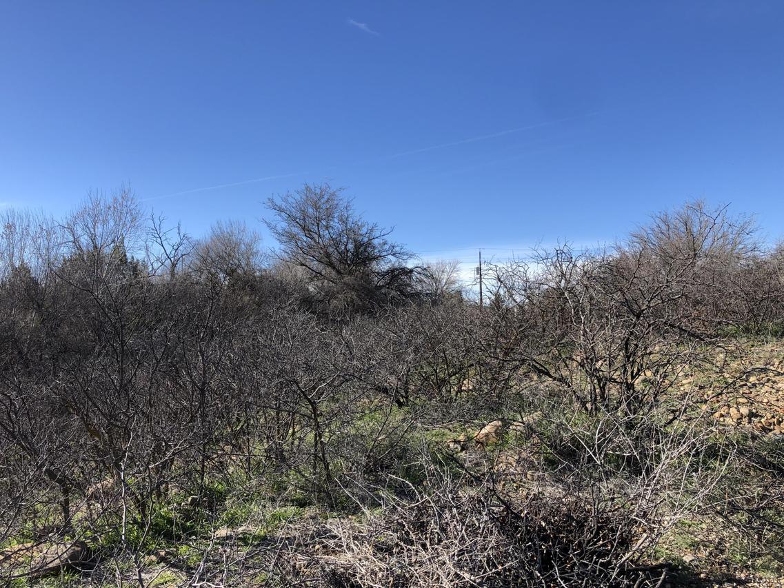 5040 N Cordova Ct., Rimrock, AZ 86335