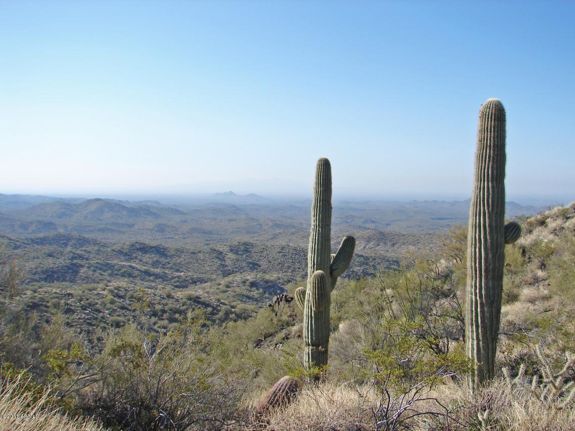 E Monarch Wash Rd. #1, Wickenburg, AZ 85390