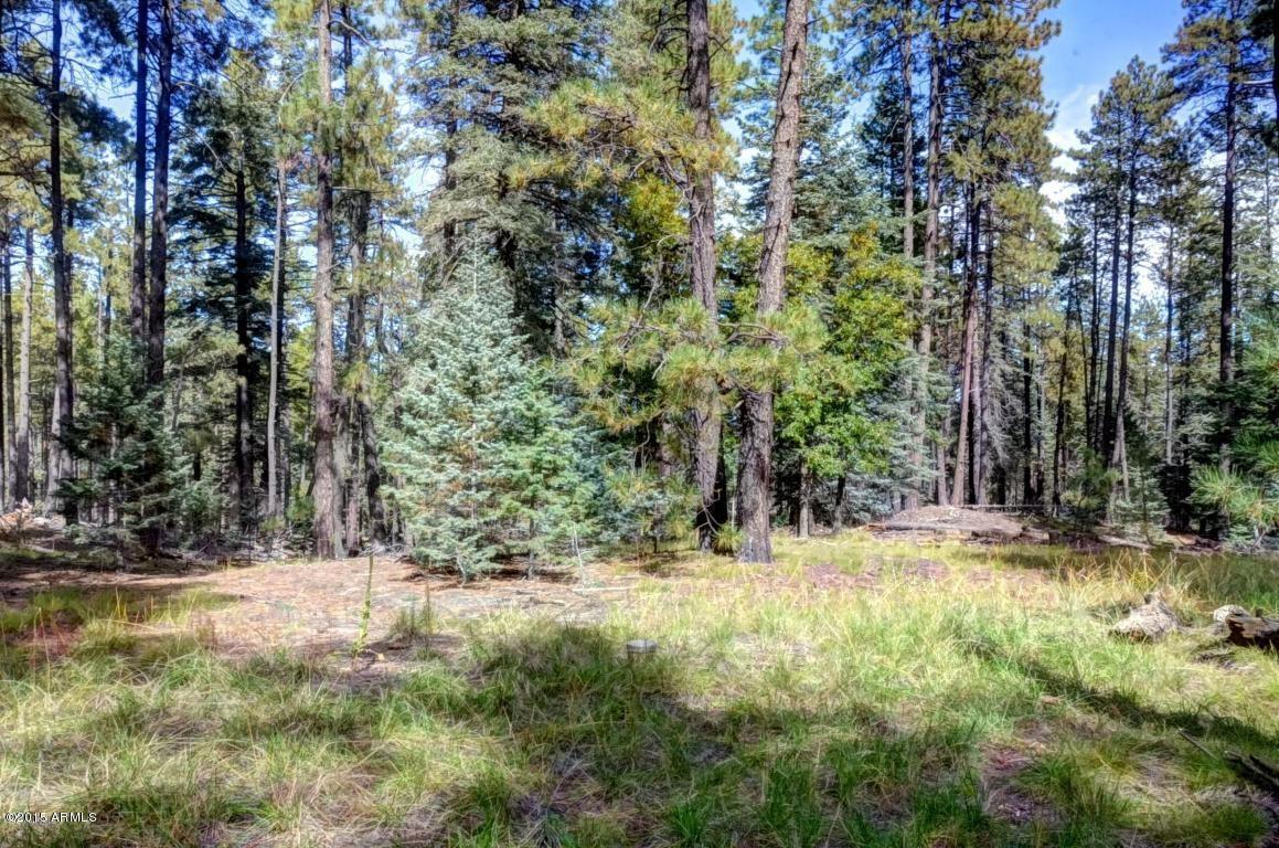 3301 E Walker Rd. #none, Prescott, AZ 86303