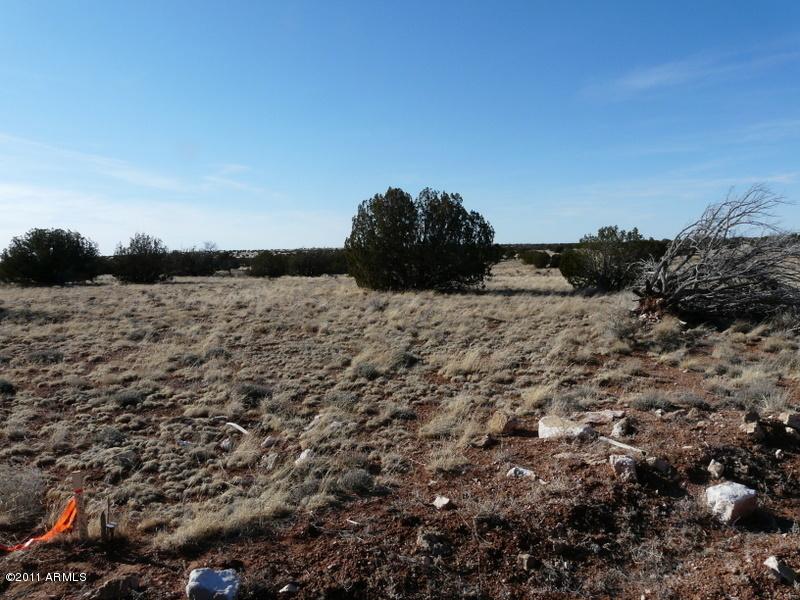 533 Ccr, Heber, AZ 85928