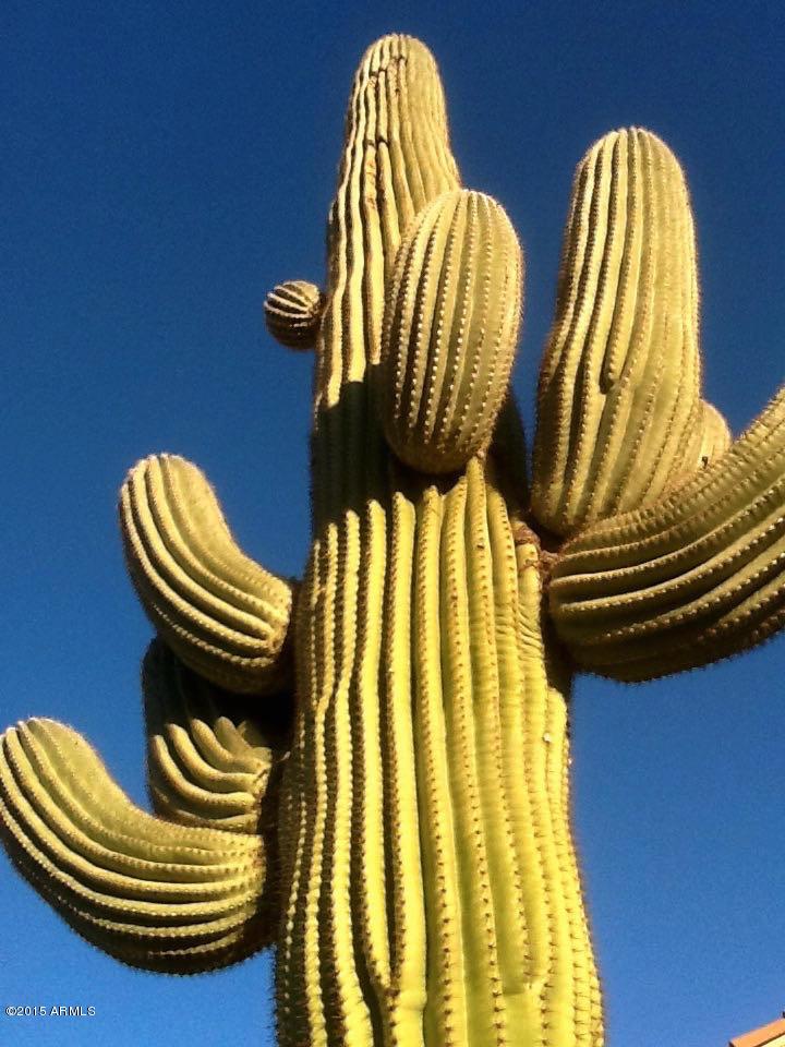 18603 E White Wing Dr., Rio Verde, AZ 85263