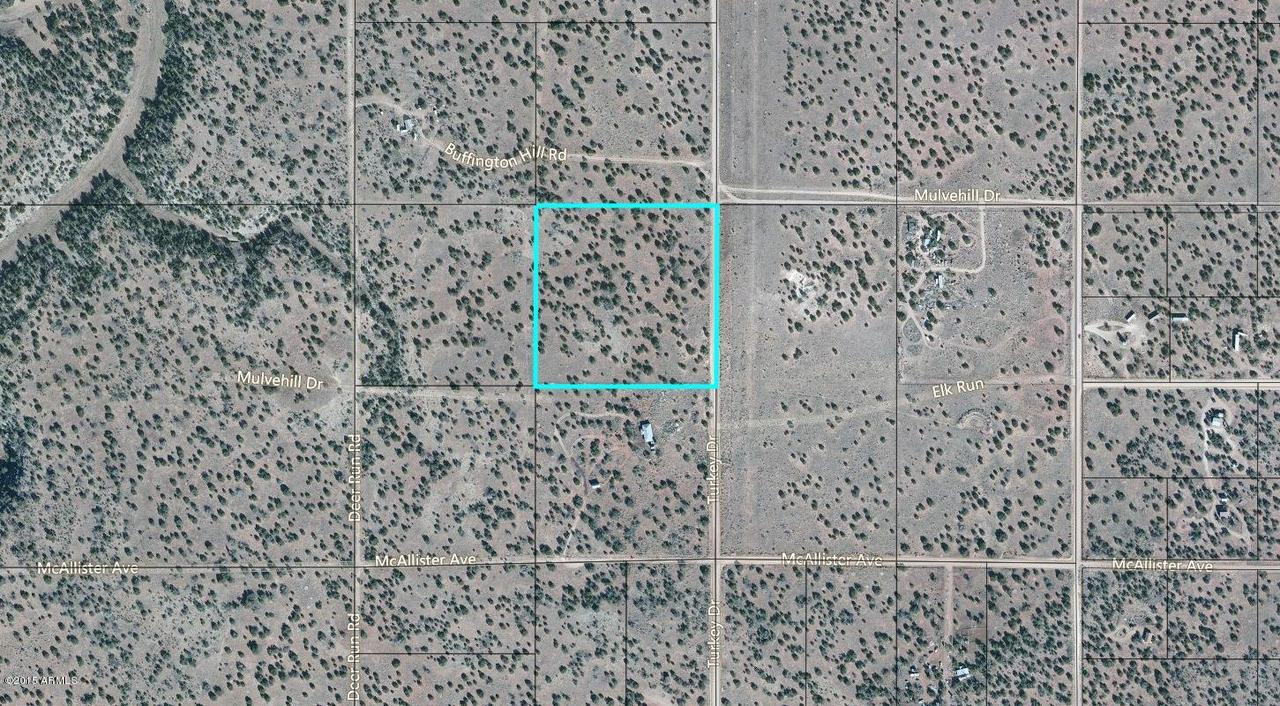 NW4 NE4 E Chevelon Retreat St. #44, Heber, AZ 85928