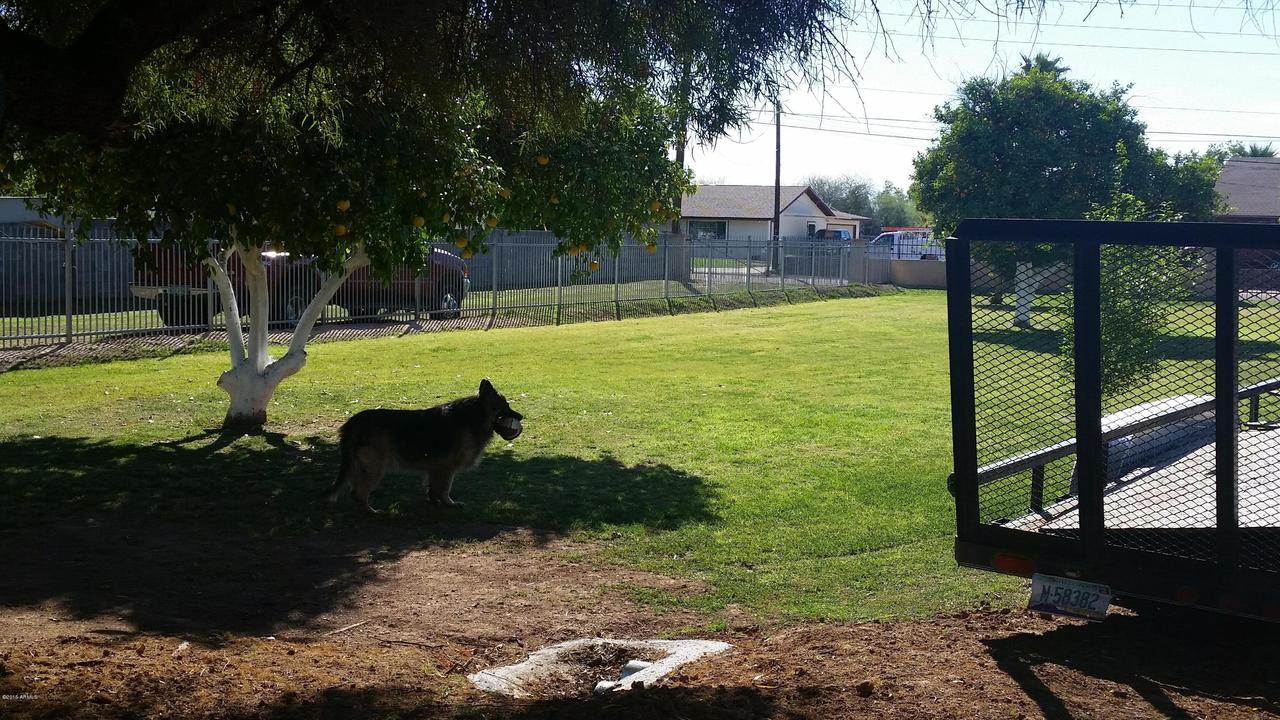 11421 N 50th. Ave., Glendale, AZ 85304