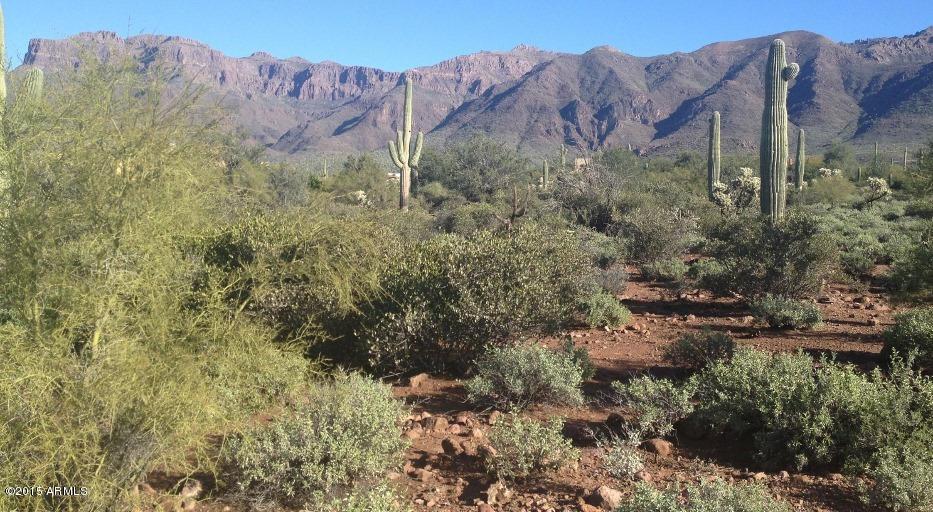 E Cloudview Ave. #B9, Gold Canyon, AZ 85218