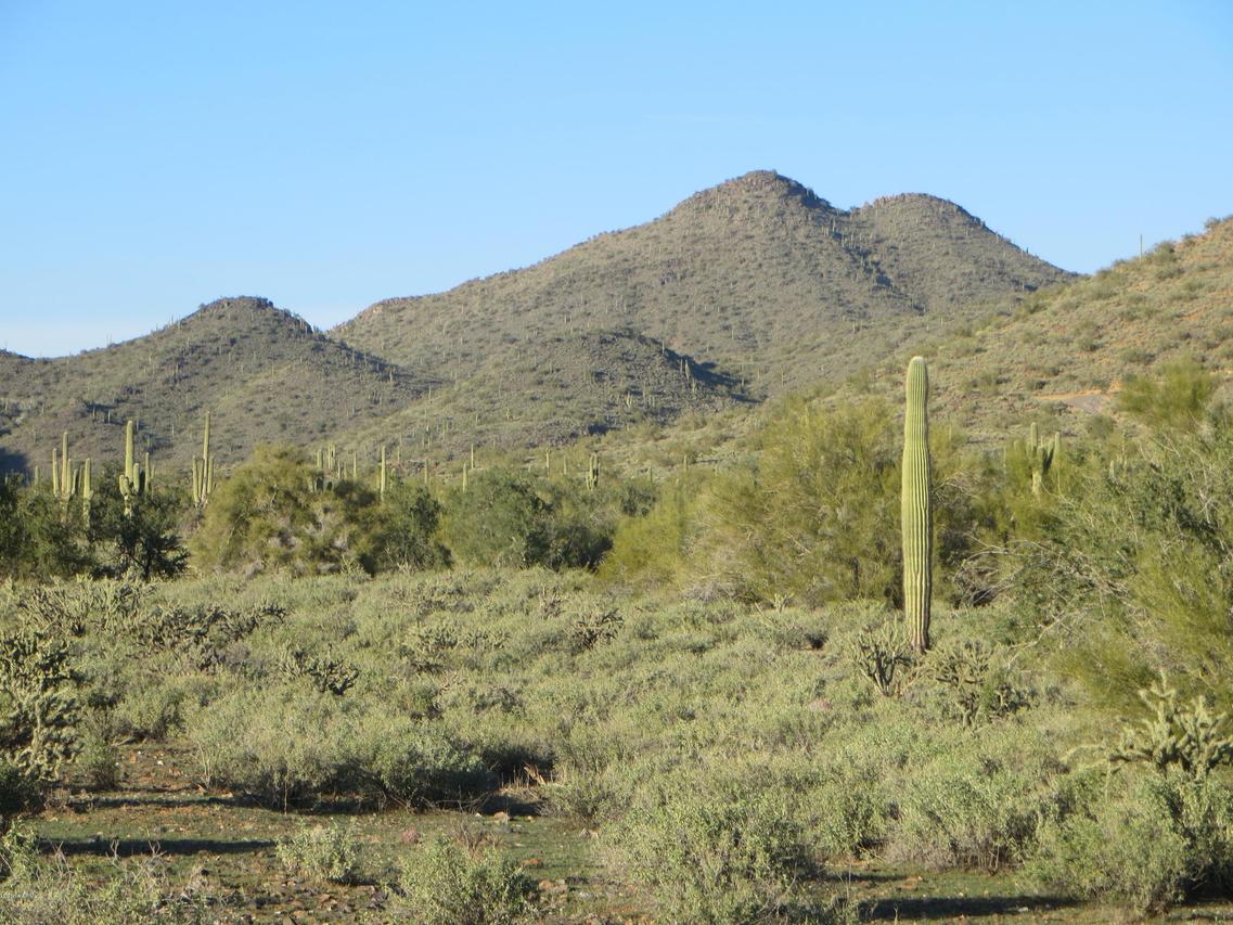 38xx E Glory Rd., Cave Creek, AZ 85331