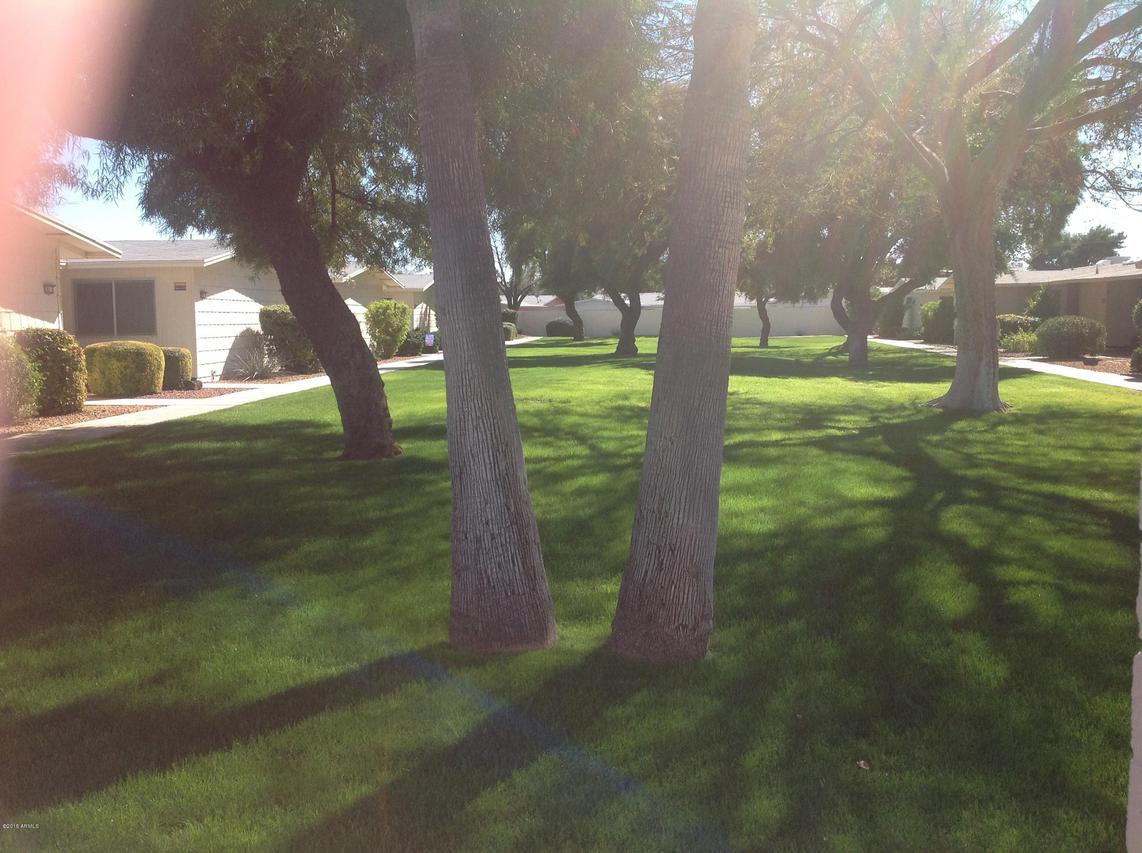 10585 W Palmeras Dr. #M, Sun City, AZ 85373