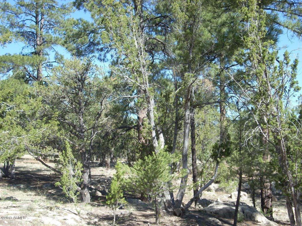 1949 Artist Draw #-, Heber, AZ 85928