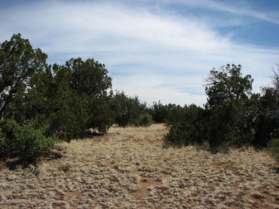 Sec.7 T14n,r17e Chevelon Retreat #-, Heber, AZ 85928