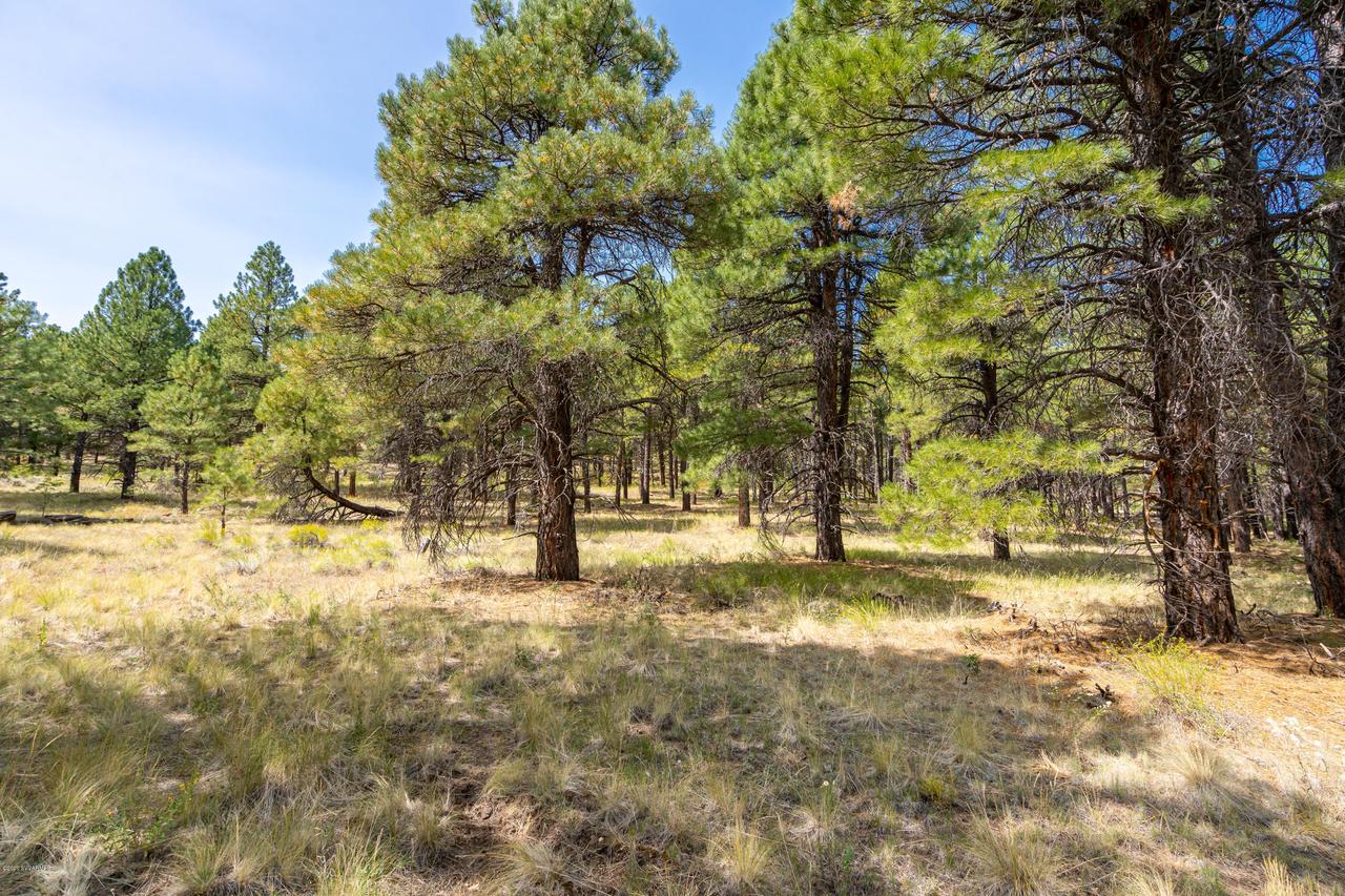 2268 Constitution Blvd., Flagstaff, AZ 86001