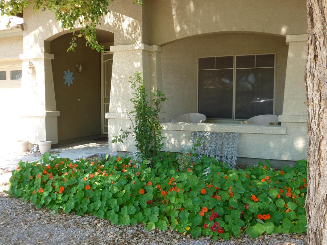 1072 E Jade Dr., Chandler, AZ 85286