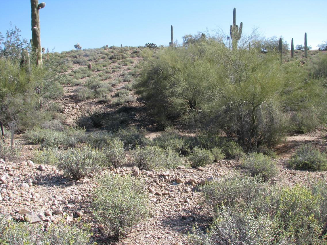 27027 N Victor Rd. #51, Queen Creek, AZ 85144
