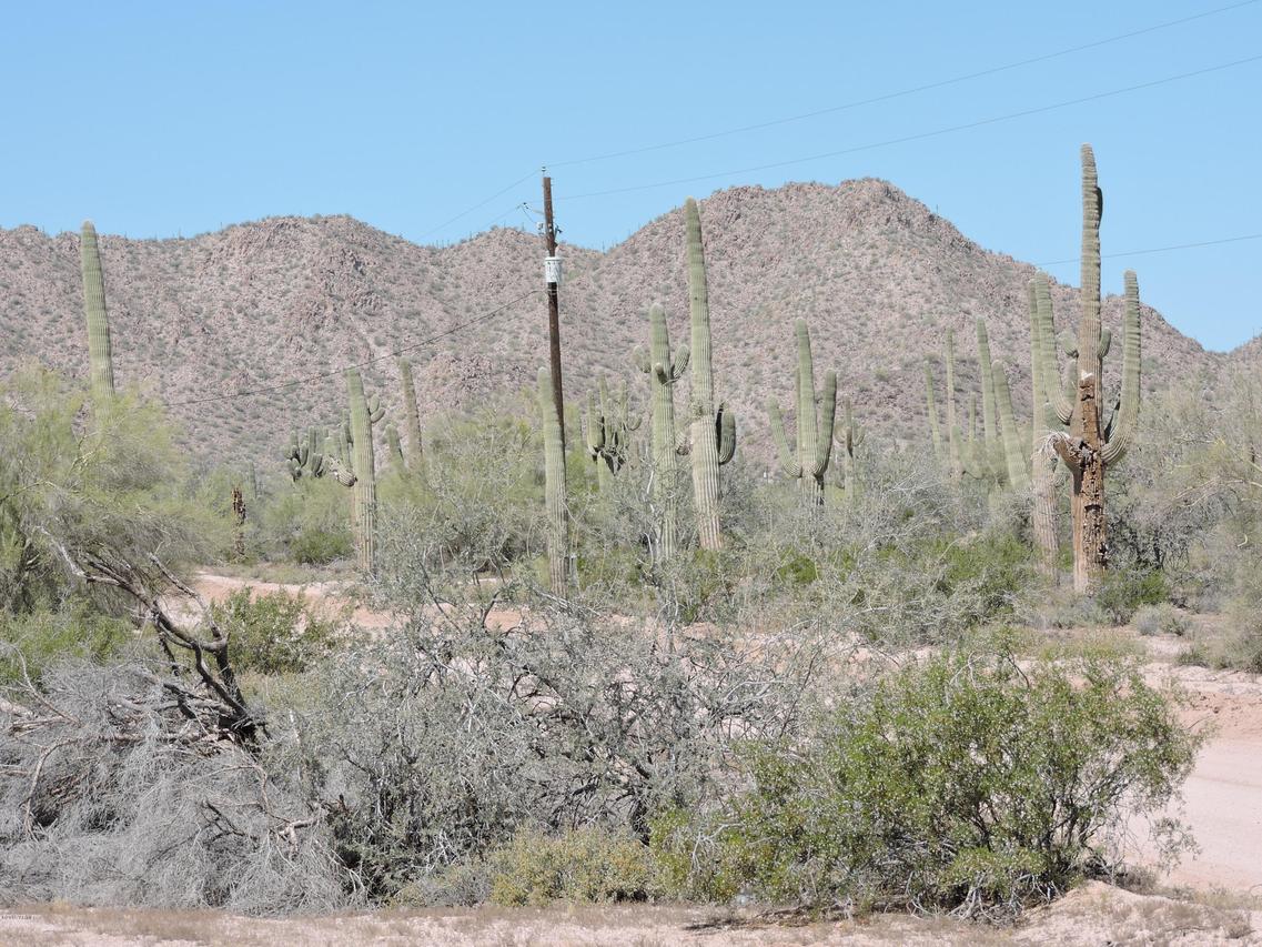 00 W Cardinal Rd., Maricopa, AZ 85139