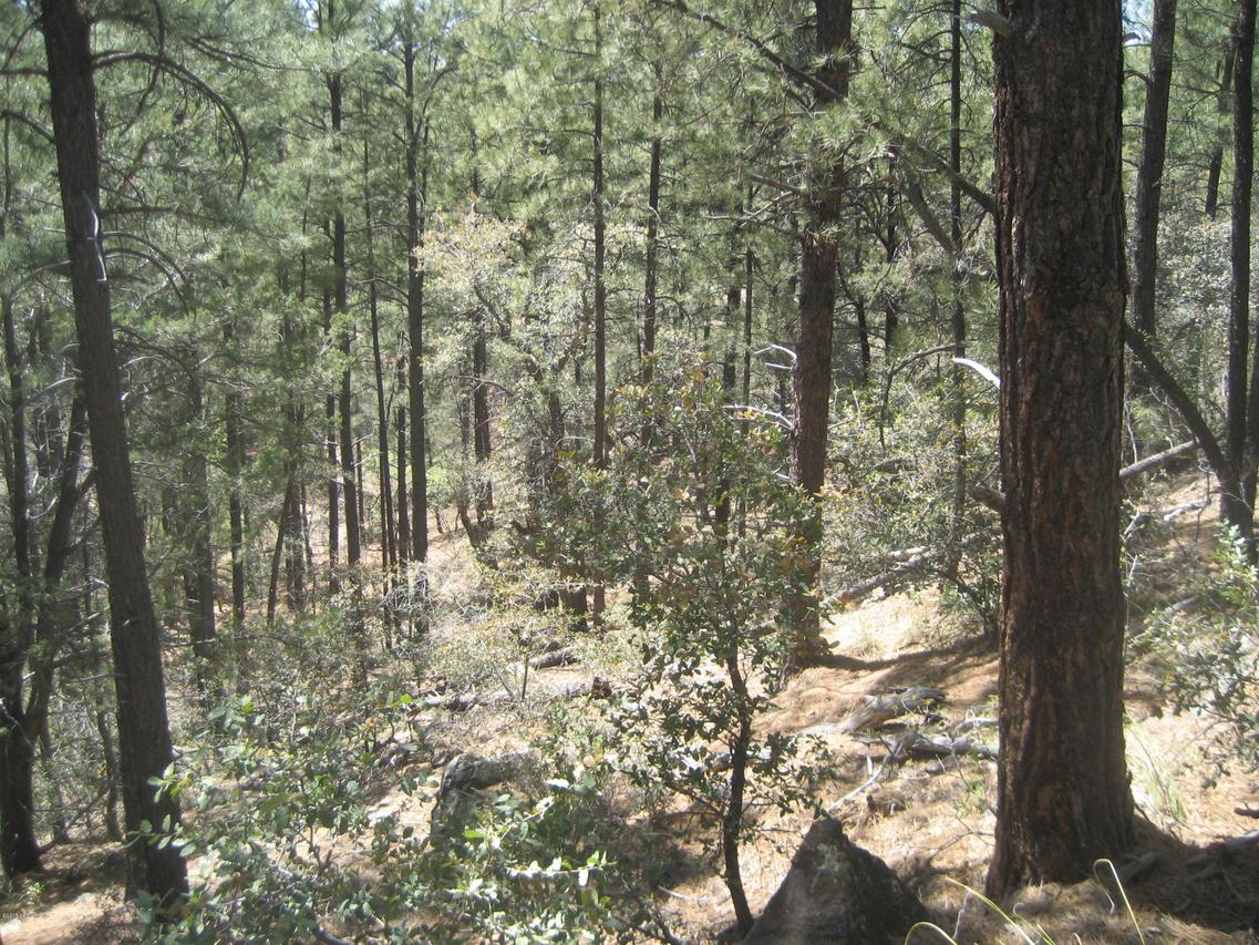 4259 S Senator Hwy. #'-', Prescott, AZ 86303