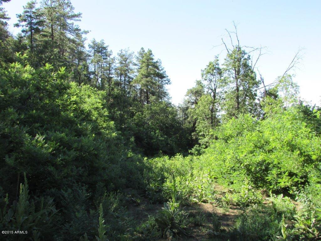 50XX E Bald Mountain Rd. #5 acres, Prescott, AZ 86303