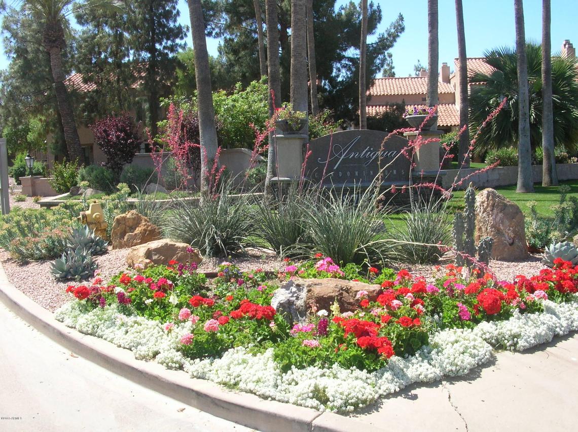 8787 E Mountain View Rd. #1110, Scottsdale, AZ 85258