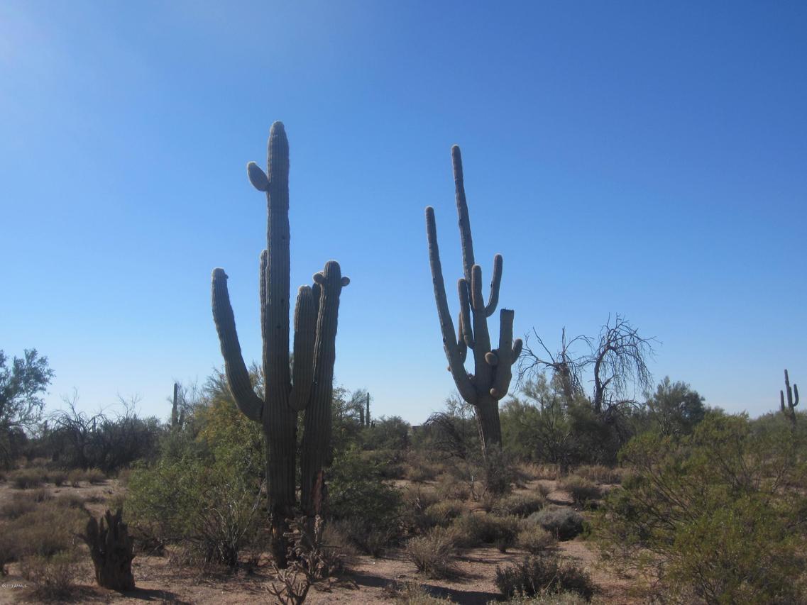 32575 N 67th St. #all 5 lots, Cave Creek, AZ 85331