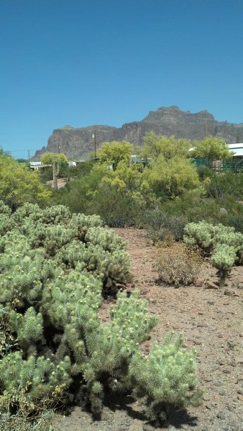 Cortez/scenic St. #103-02-0260, Apache Junction, AZ 85119