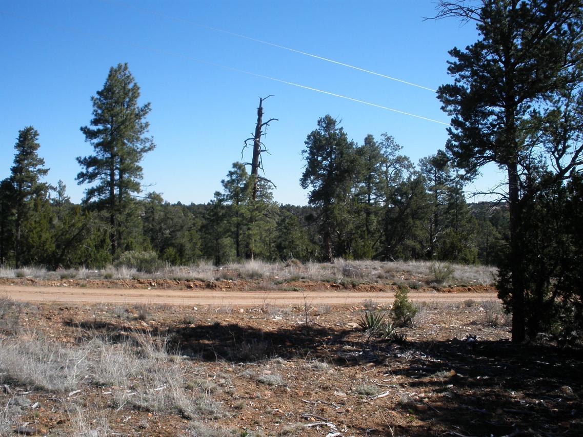 1789 W Wild Turkey Ln. #49, Heber, AZ 85928