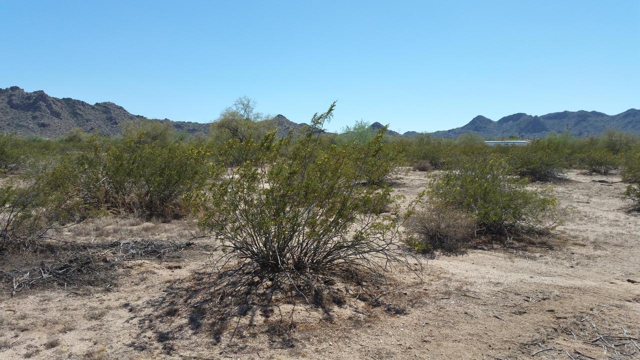 21XX S Amanda Dr. #039A, Maricopa, AZ 85139