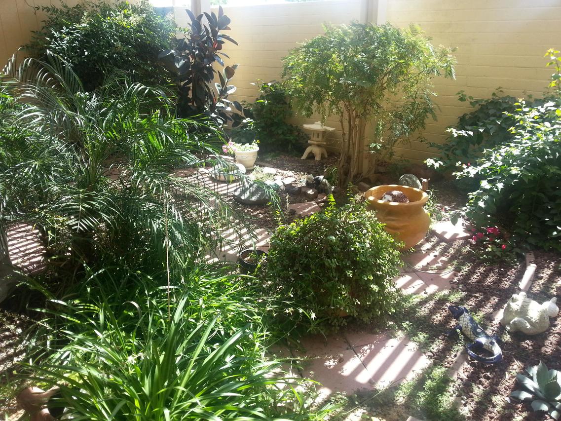 17271 N 105th Ave., Sun City, AZ 85373